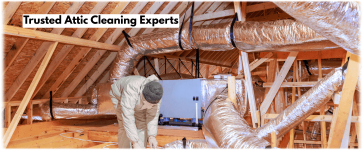 Attic Cleaning Woodstock GA