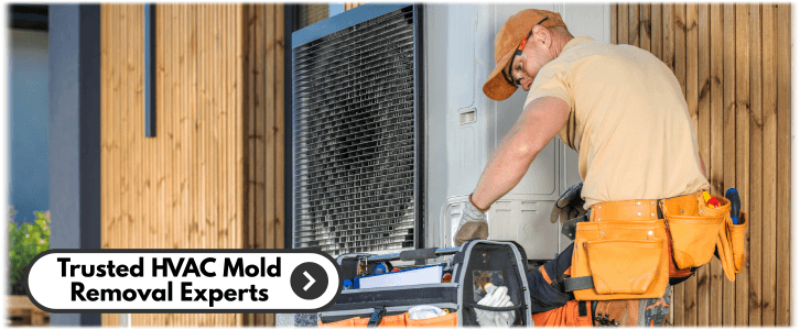 HVAC Mold Removal Woodstock GA